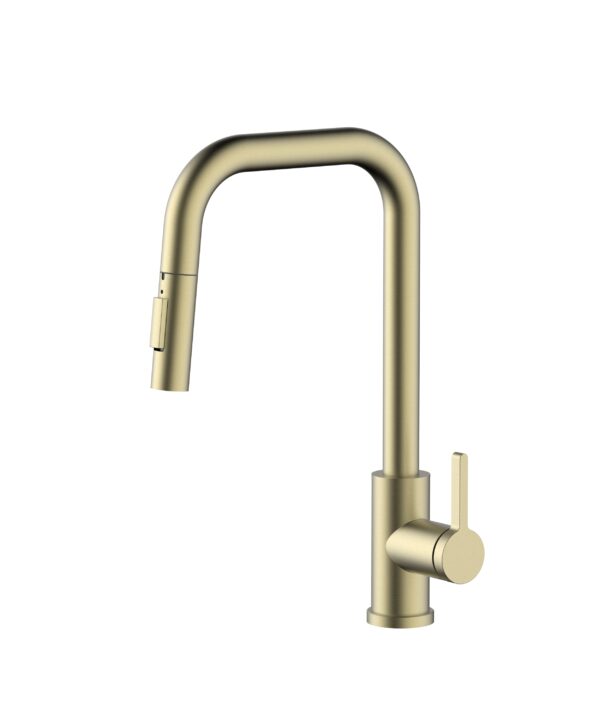 Zion Pro Pull Out Kitchen Mixer - PVD Brushed Gold K671 01 43 2